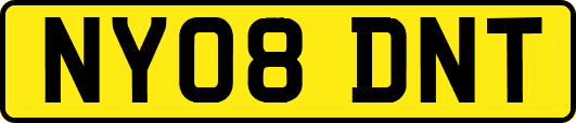NY08DNT