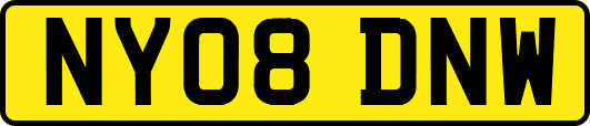 NY08DNW