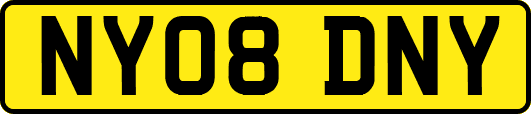 NY08DNY