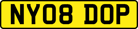 NY08DOP