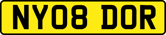 NY08DOR