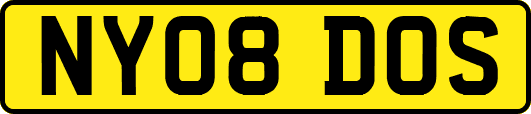 NY08DOS