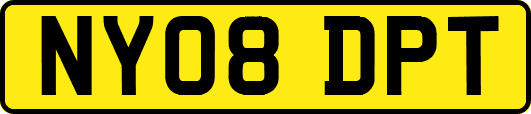 NY08DPT