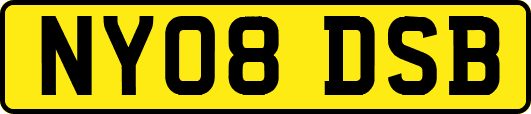 NY08DSB
