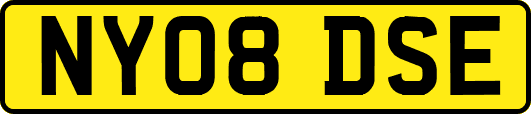 NY08DSE