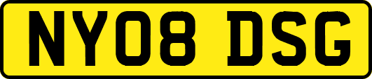 NY08DSG