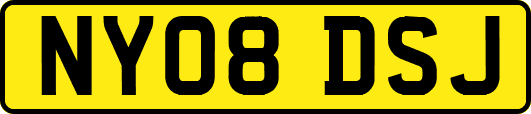 NY08DSJ