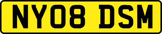 NY08DSM