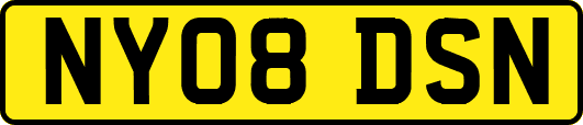 NY08DSN