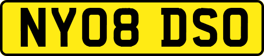 NY08DSO