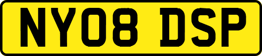 NY08DSP