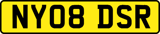 NY08DSR