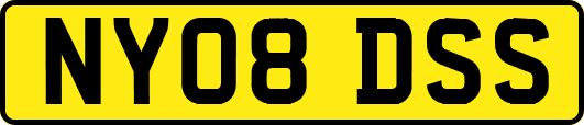 NY08DSS