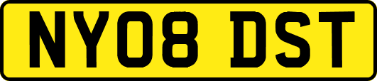 NY08DST