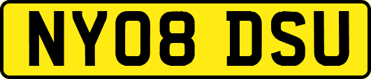 NY08DSU