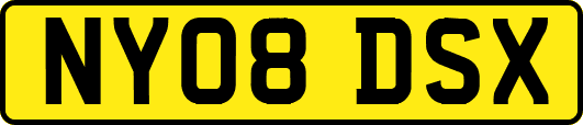NY08DSX