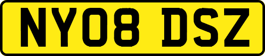 NY08DSZ