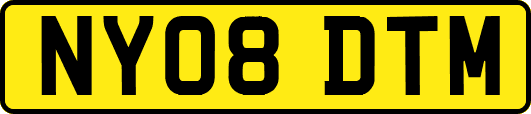NY08DTM