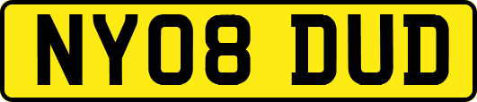 NY08DUD