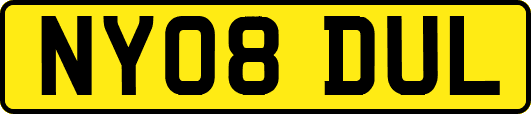 NY08DUL