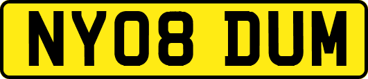 NY08DUM