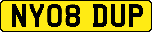 NY08DUP