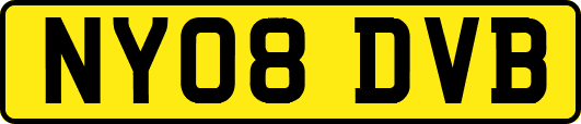 NY08DVB
