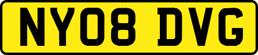 NY08DVG
