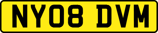 NY08DVM