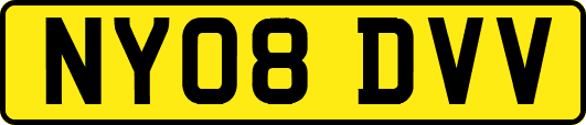 NY08DVV