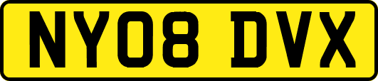 NY08DVX