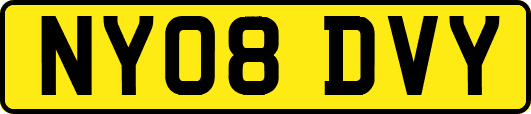 NY08DVY