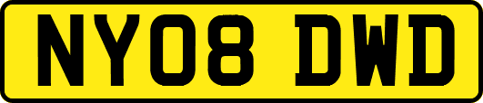 NY08DWD