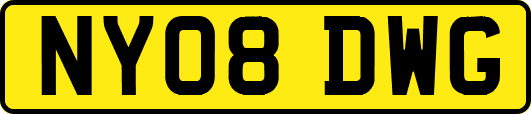 NY08DWG