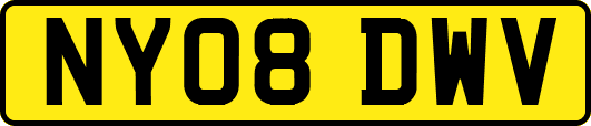 NY08DWV