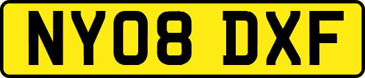 NY08DXF