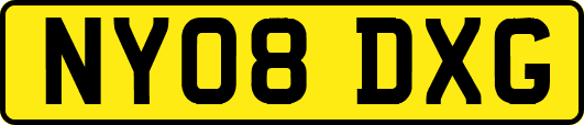 NY08DXG