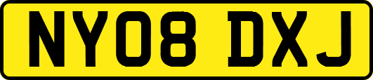 NY08DXJ