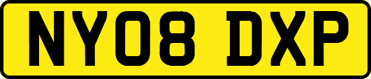 NY08DXP