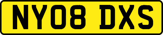 NY08DXS