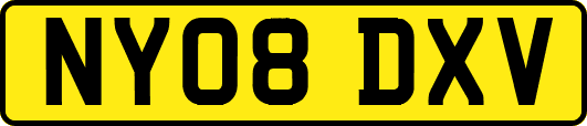 NY08DXV