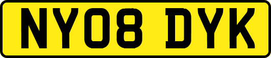 NY08DYK