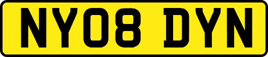 NY08DYN