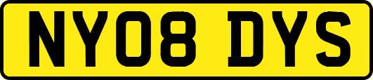 NY08DYS