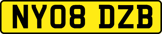 NY08DZB