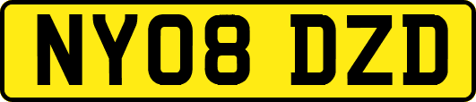 NY08DZD
