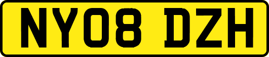 NY08DZH