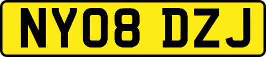 NY08DZJ