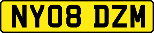 NY08DZM