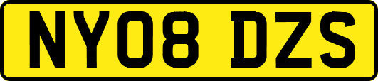 NY08DZS